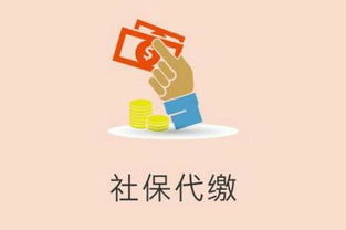 都江堰市網絡文化經營許可證辦理費用及代理機構選擇指南